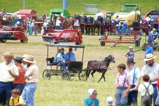 GFreiNews's tweet photo. Übrigens wer glaubt die wären technologisch zurückgeblieben. Die Amish haben eine eigene Technologielinie. Nur eben ohne Motor und Elektro. https://t.co/ffsMlumvGf