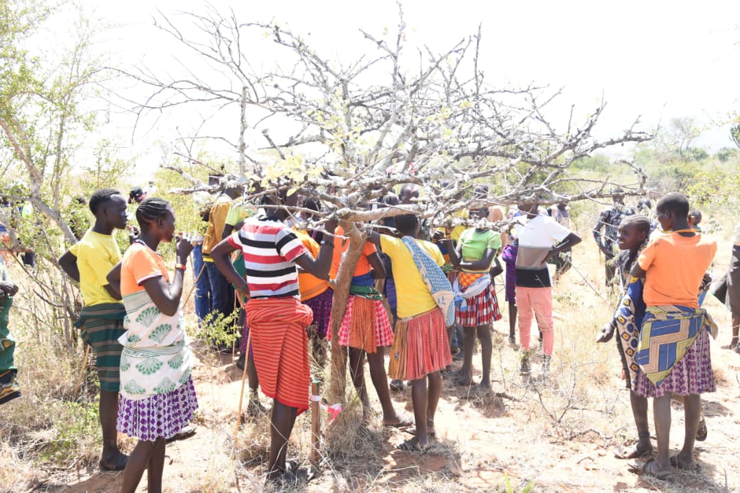 uetcl's tweet photo. UETCL has commenced stakeholder engagements with local and community leaders in Moroto District ahead of the implementation of the 26.79km Moroto–Katikikile 132kV High Voltage Transmission Line, which will traverse Loputuk and Tapac sub-counties.

The project is a key grid expansion initiative that will strengthen electricity supply to meet the growing domestic and industrial power demand across the Karamoja sub-region.

The engagement, chaired by Moroto District LCV Chairperson Hon. Pulkol Anjello, reaffirmed the importance of collaboration in delivering the project. Representing UETCL, Mr. Swaibu Bukenya emphasized that the engagements are intended to ensure smooth project implementation while prioritizing safety, environmental protection, and shared benefits for host communities. @MEMD_Uganda @DrMusenero @KwameEjalu @uetcl_ceo