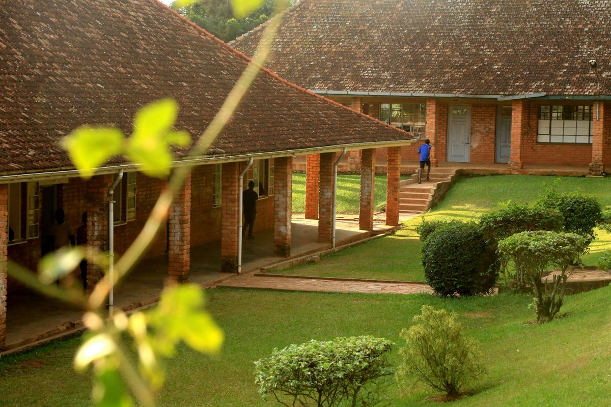 Ngocollege1902 tweet picture