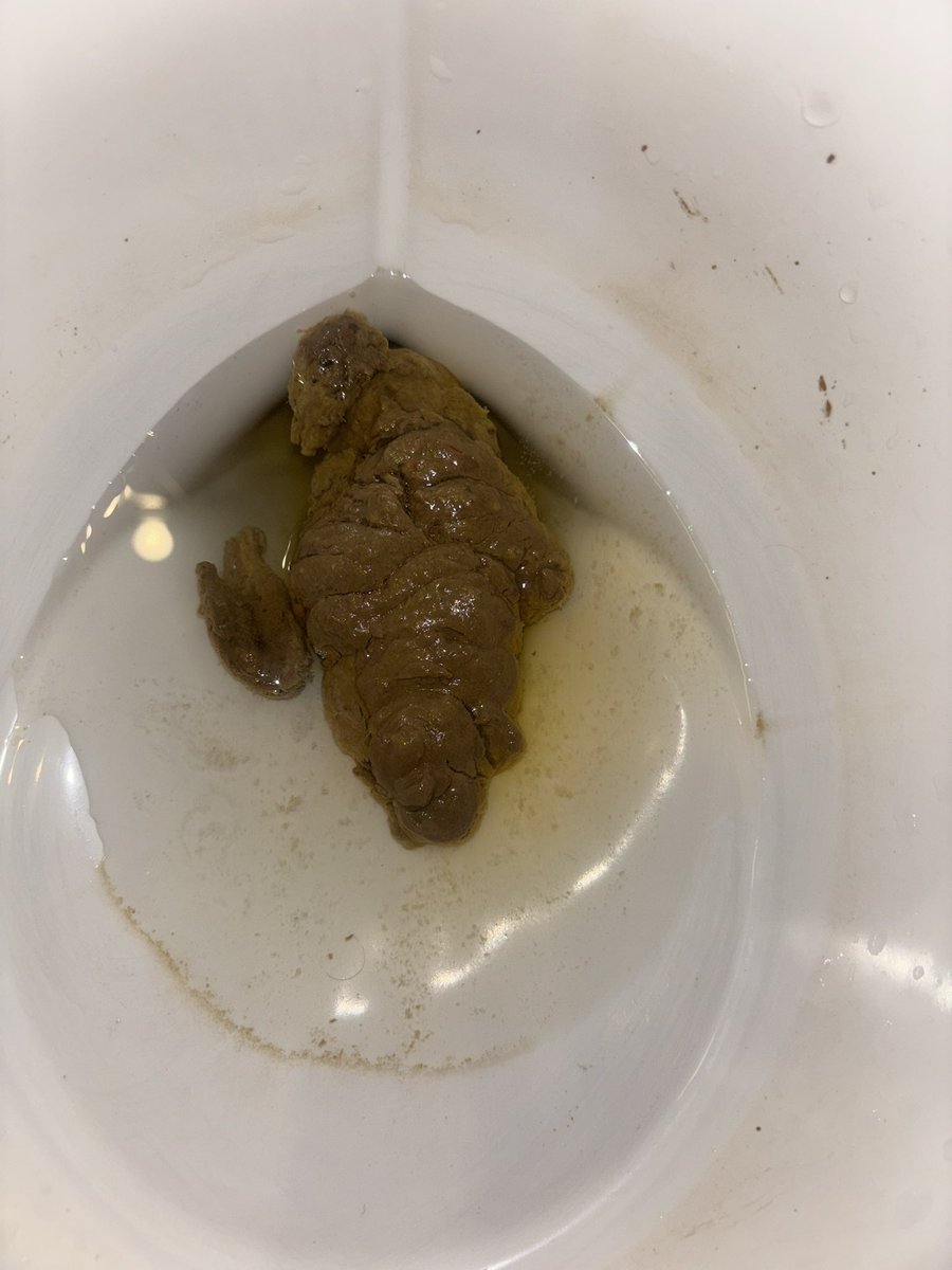 silotwink's tweet photo. had pizza last night 😮‍💨 who’s cleaning up? 🐽💩 #gayscat https://t.co/NOlpnkhkcA