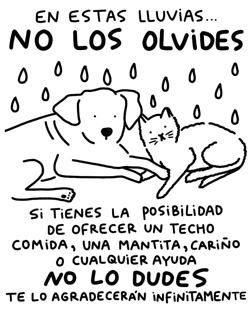 AnimalParaiso's tweet photo. No olvidar, siempre se puede hacer algo, no duden en dar una manito a quienes lo necesitan. 🙏🏻

#Lluvia https://t.co/QLIMXiZMmF