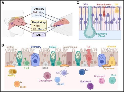 Waggoner Lab tweet media