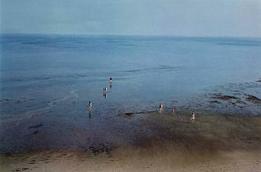 LKpaddy's tweet photo. Cape Cod, 1987 • Harry Callahan • https://t.co/Qq43mtjbwD