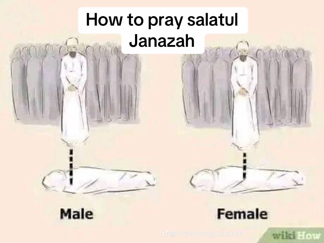 ibadahAllah95's tweet photo. Learn how to pray salat janazah👇🏼 https://t.co/KqnJ8PNQzt