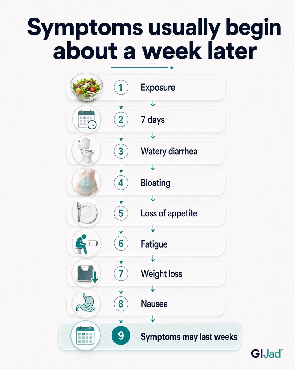 jdfarha's tweet photo. 🚨 A parasite you’ve probably never heard of is behind a multi-state food outbreak.

It’s called Cyclospora and it can contaminate fresh produce.

Here’s what it is, the symptoms to watch for, and how to avoid it. 🧵👇

Bookmark this and follow for physician-reviewed GI education https://t.co/UHSzU8XRjR