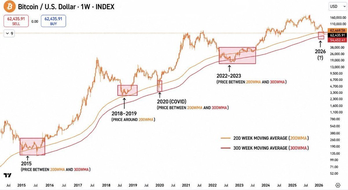 Shib Spain tweet media