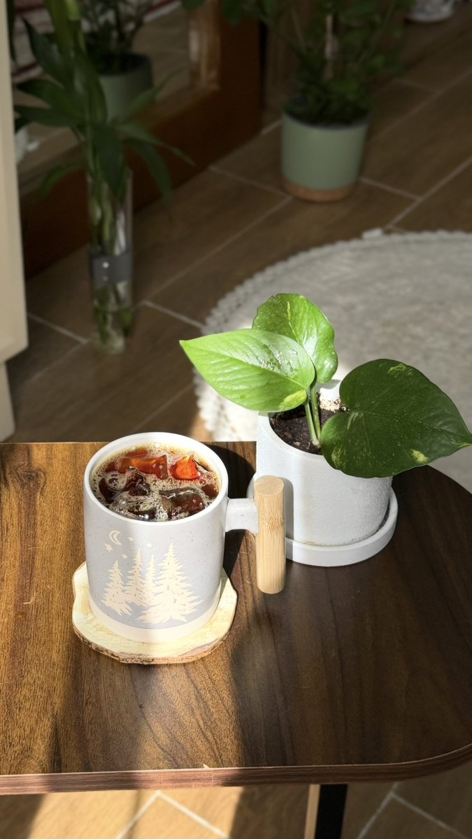 as_u14's tweet photo. كوب قهوة و لحظَة رايقة 🤎🌱 . https://t.co/siruDykMWN