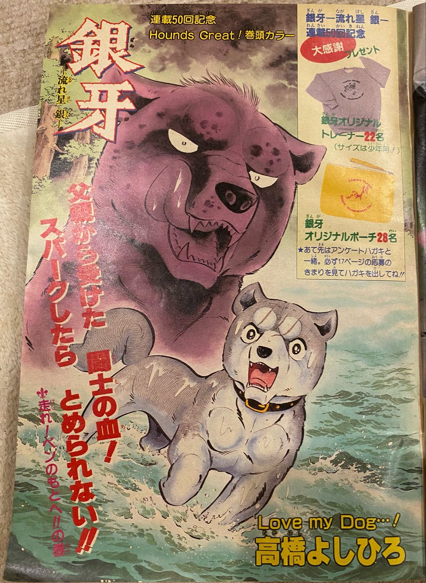 【激レア・新品・未開封】銀牙　高橋先生40周年記念メタルプレートシリアルナンバー 銀牙-流れ星 銀- 父親から受けた 闘士の血！ スパークしたら とめられ