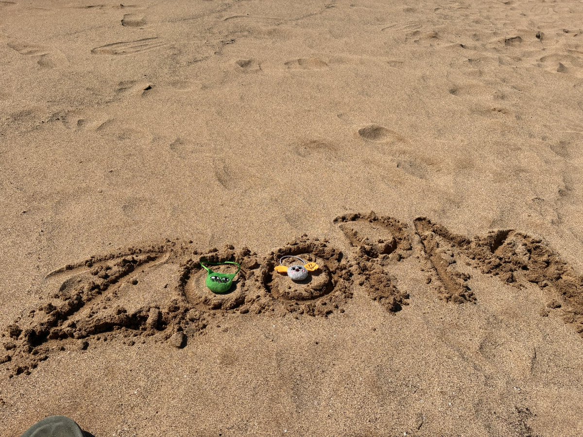 ZooPMTravels's tweet photo. Breaking news! #Okcat and #KoalaKhun spotted at the beach 🍹🩴🏖️⛱️🌊☀️🐚
#ZooPMtravels https://t.co/ySFPTetZlm