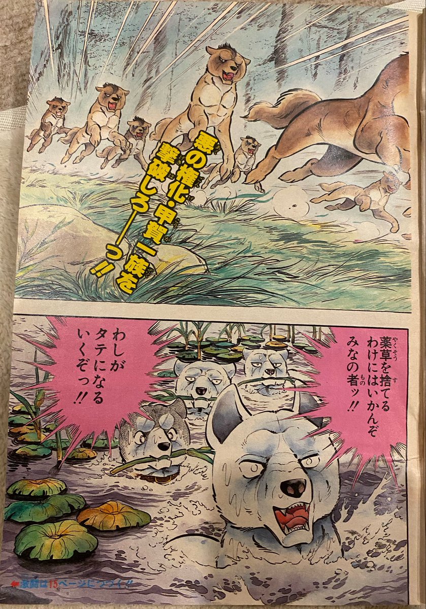 高橋よしひろ先生　手ぬぐい 水中戦は 望むところ！ 悪の権化・甲賀一族を 撃破しろーーーっ