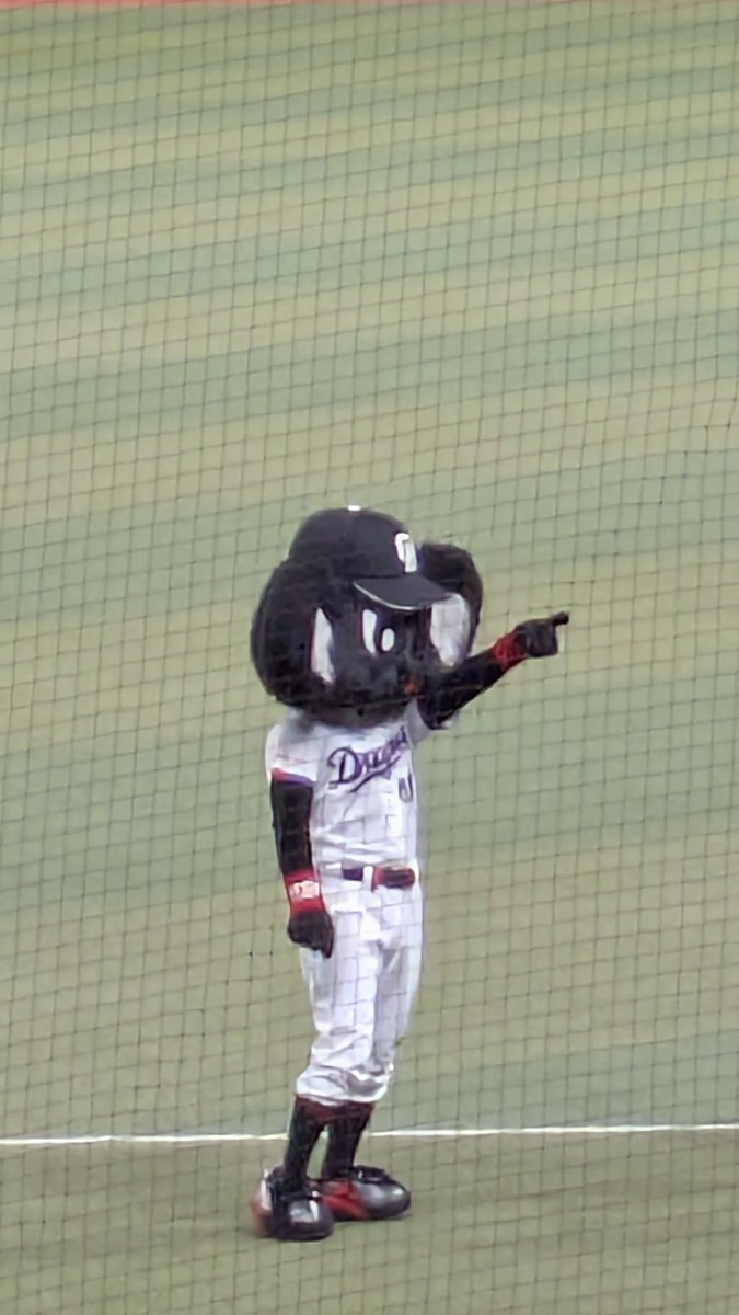 bhdnnrti's tweet photo. 久しぶりにホームの野球を観戦しました⚾️はじめましてのブラックドアラ https://t.co/dM9GwSlHDL