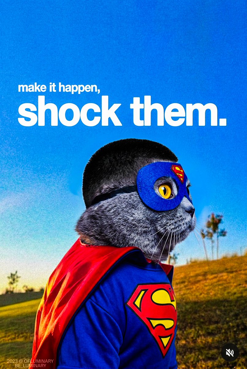 Folk Valley Cat tweet media