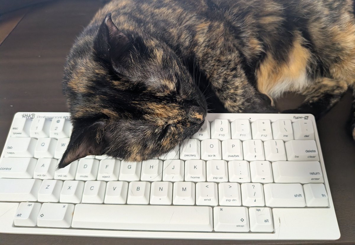 えむねふぉ🐱😺😼🙀 (@_mNEFO_) / Posts / X