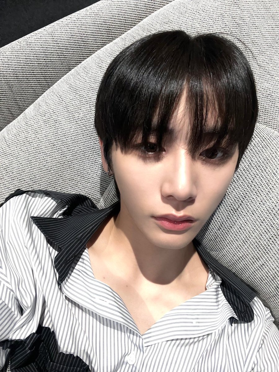 디마탯 tweet media