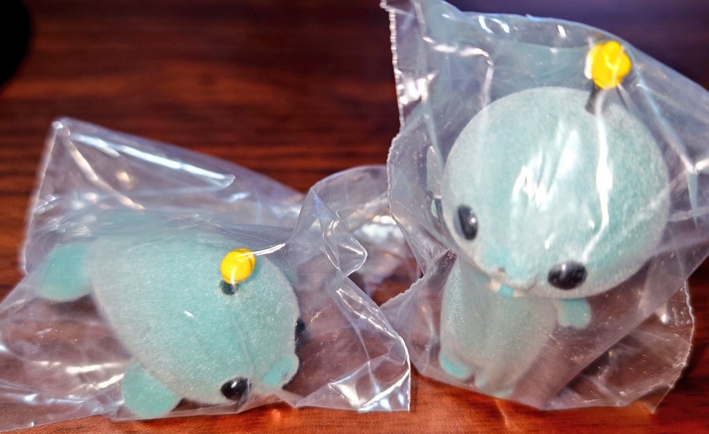 Sieben77's tweet photo. ３時間ほど走り回って教育番組のフロッキーやっと見つけた
退化タマｶﾜﾖ🦭🔪 https://t.co/KB9vOZaTv7