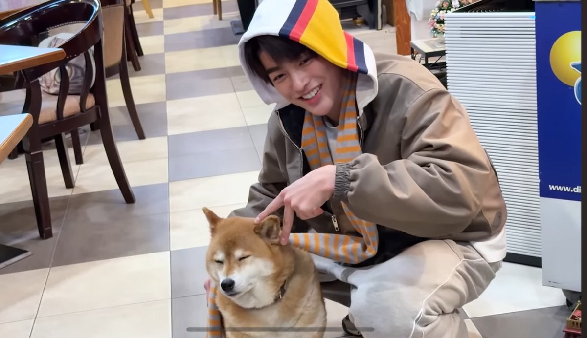 sonsonson_shine's tweet photo. 毎日に疲弊して、自分の目が死んだような目になった時は、CORTISと動物が絡む動画見よ、、マジで.... https://t.co/OcHapsbQlA