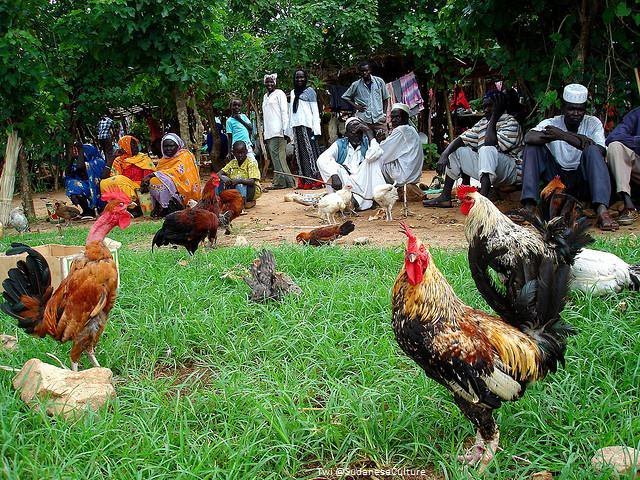 SudaneseCulture's tweet photo. Village Lifestyle in Kauda, Kordofan - Sudan.

#SudaneseCulture #ثقافة_سودانية https://t.co/YeJw6iErAv