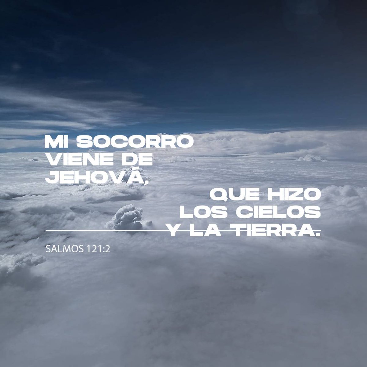 rafael_bernice's tweet photo. https://t.co/KcHON7aKrr https://t.co/5C1MoipMmc