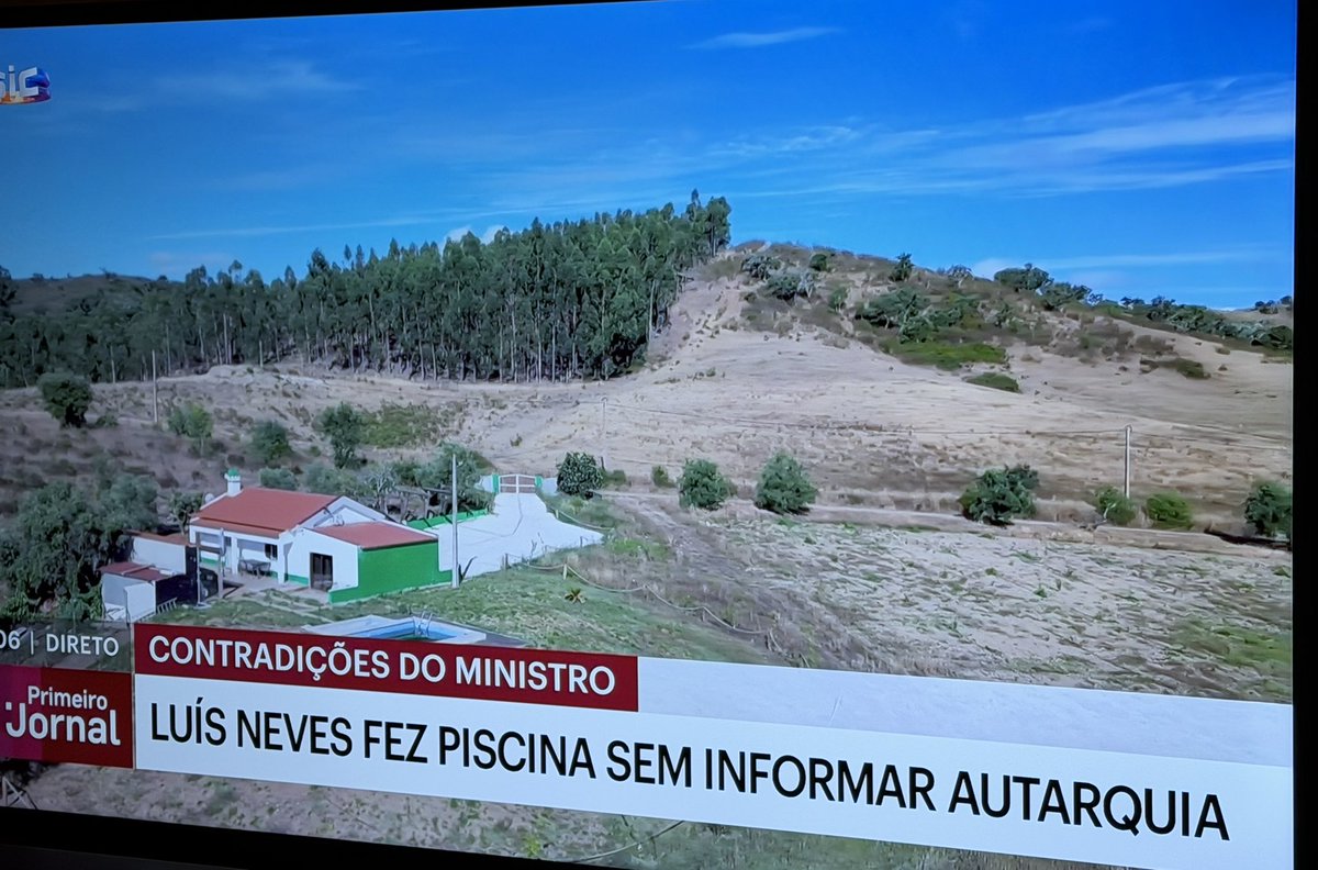 Paulo Gavado tweet media