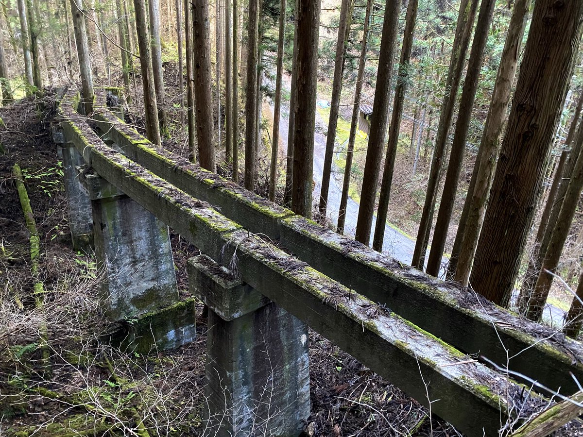 noiseandblame's tweet photo. 木曽森林鉄道より与川線における、様々な橋梁遺構たち。

現道の直ぐ側に残されているものも多いので、割とお手軽に拝むことができるけれど、その一方で、現道の拡幅工事などによりいつ消え去ってもおかしくないという危うさが付いて回る…。

願わくは、いつまでもこのままそっとしておいて欲しい。 https://t.co/0l5iLercYL