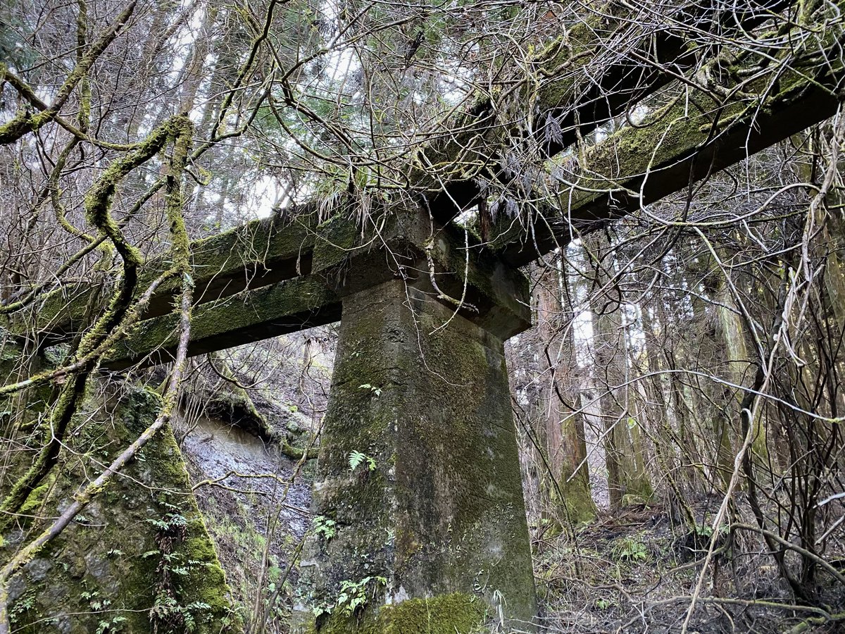 noiseandblame's tweet photo. 木曽森林鉄道より与川線における、様々な橋梁遺構たち。

現道の直ぐ側に残されているものも多いので、割とお手軽に拝むことができるけれど、その一方で、現道の拡幅工事などによりいつ消え去ってもおかしくないという危うさが付いて回る…。

願わくは、いつまでもこのままそっとしておいて欲しい。 https://t.co/0l5iLercYL