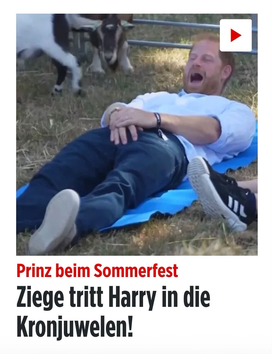 Rainer Diesel tweet media