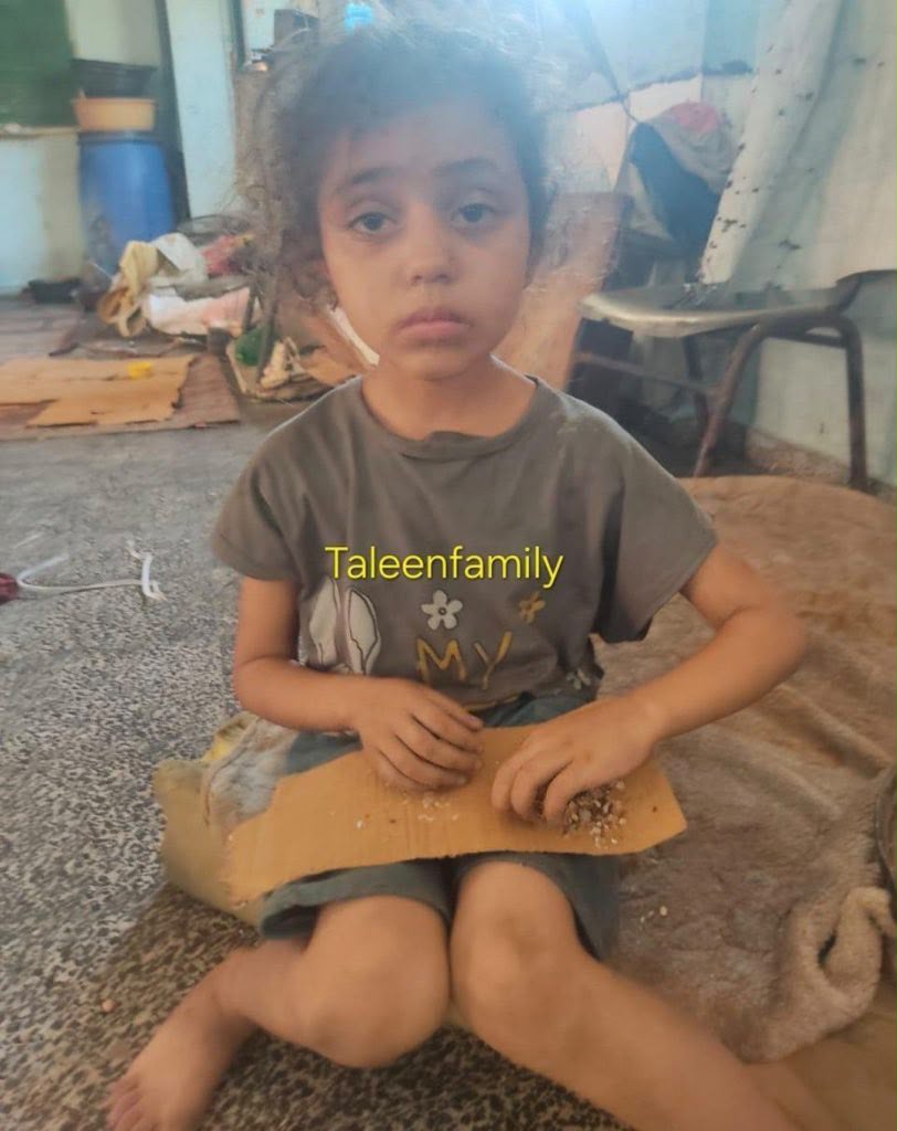 Taleen Family 🍉 tweet media