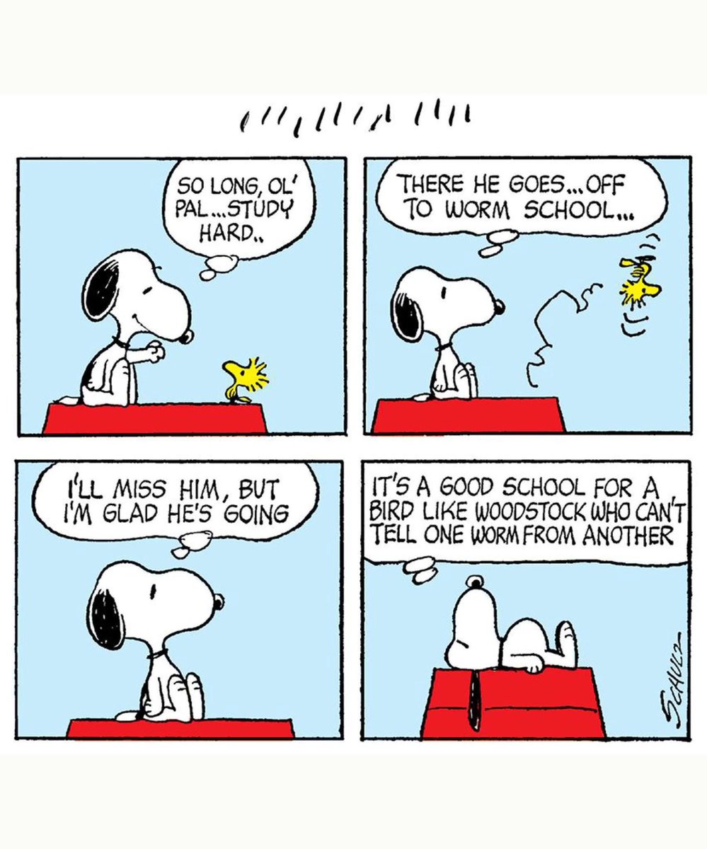 kindness is free ❤️ Mari 🥰 tweet media