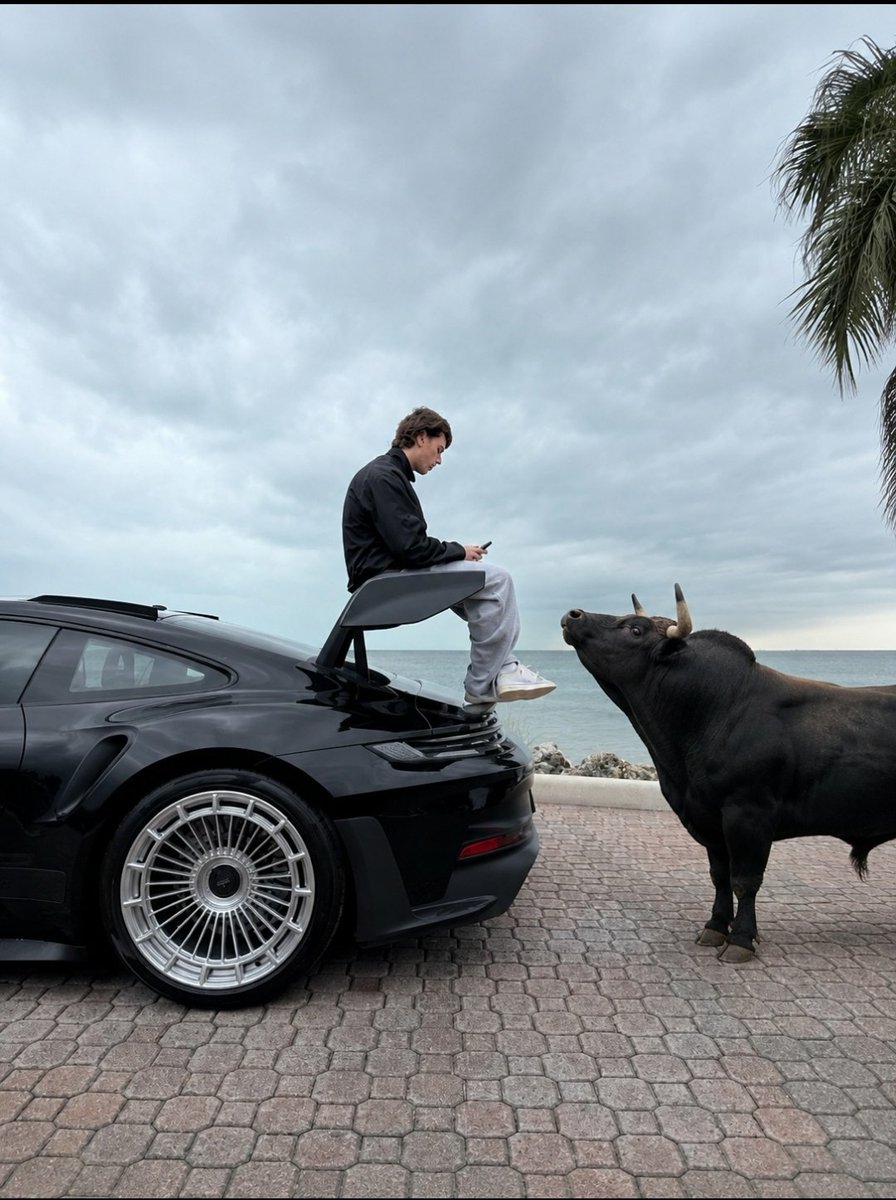 mhaleeky.Sol 🐬 tweet media