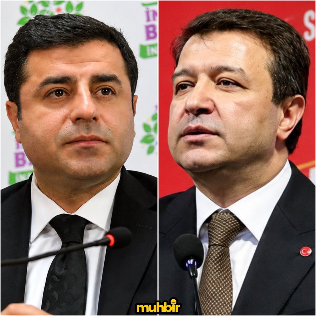 Bahar Feyzan'dan Mahmut Arıkan'a Selahattin Demirtaş Ziyareti Üzerine Tebrik