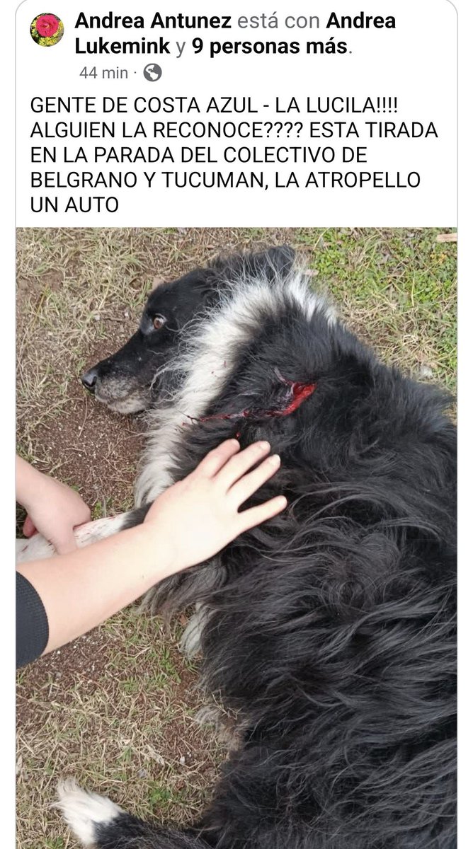 millanneururer's tweet photo. https://t.co/gspdO6fpTr