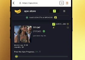 sikeriusss's tweet photo. aped $TITCAT here.

@apedotstore launched it, proof in their how to launch video

0x09319c5891fc3eb218f367d909363fb5562e28b1 https://t.co/UdexVB9I4I