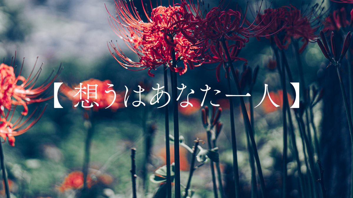 asanatsu_rei's tweet photo. 彼岸花の花言葉 https://t.co/4l4aLbwZdd