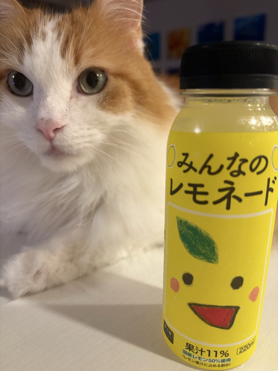 wonkasfactory2's tweet photo. 動機が不純なんだけど
昨日も落ち込んだから
何かひとつでもいいから自分を肯定できる何かがしたくて
いつもポストを見て元気をいただいてる方の紹介してたレモネードを買ってみた

普段コンビニは高くて何も買えないから
ちょっと高くて勇気が要った😳

美味しかった☺️ https://t.co/vdoA25prWq