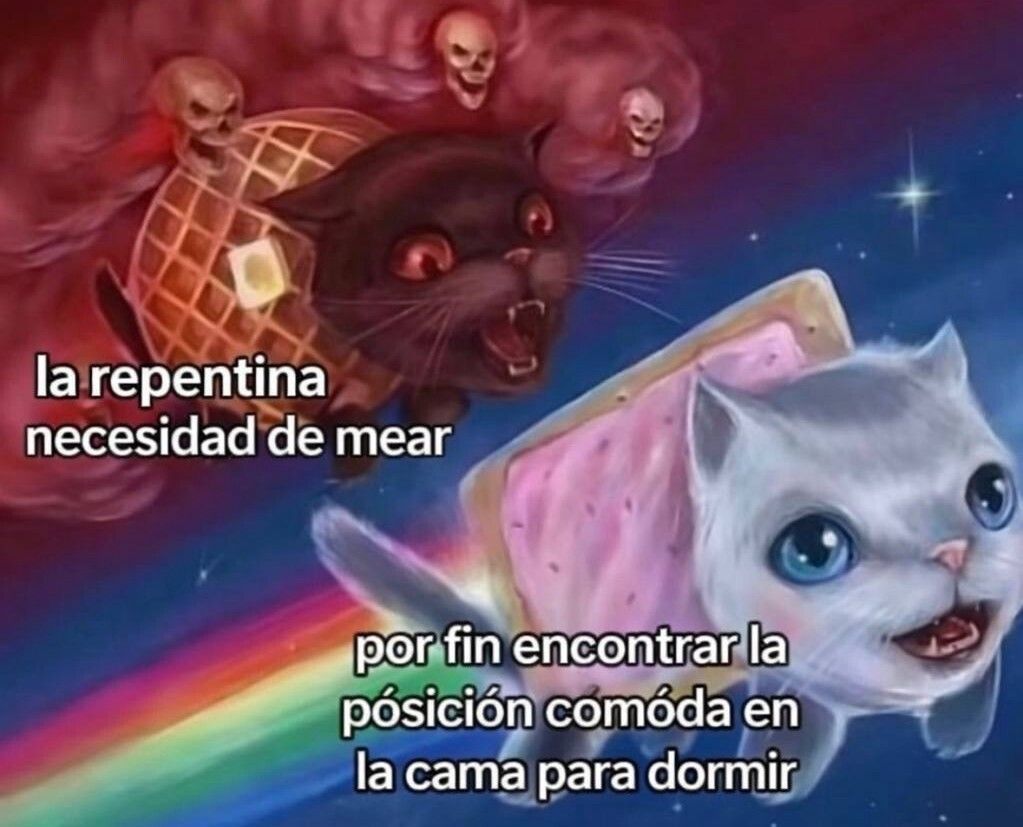 wikipistacho's tweet photo. https://t.co/8Xs8dDnYnm