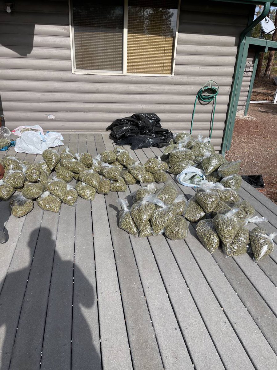 Johnsonkoxs's tweet photo. Licensed Indoor Smalls
#weed #Alaska #alaskaweed #Kissimmeet #Miami #Davenport #Poinciana #Disney100 #florida #LenaThePlug
#CannabisCommunity #tampa #stoners #plug #plugs #plugins #billionair #futurebillionaire #billionaireslifestyle #billioniar https://t.co/J307izqlHM
