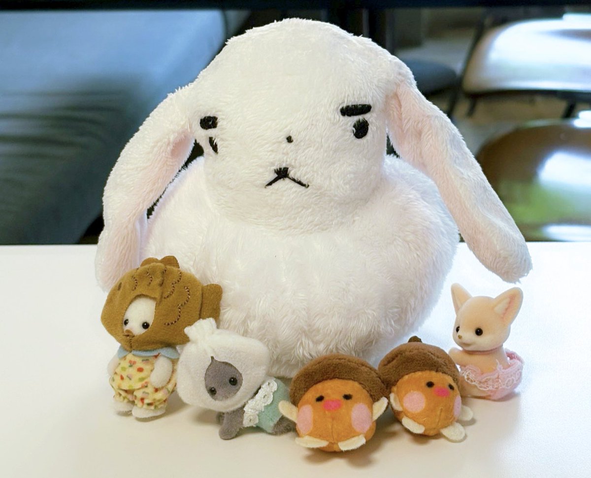 ponulab's tweet photo. 엔친이들 정원양꼬치에서 한가득 먹고 잠들었다네요〰️ 시간순삭🫪

with 뚠끼♡ (not 뚱끼) https://t.co/UrOZDH24Kg