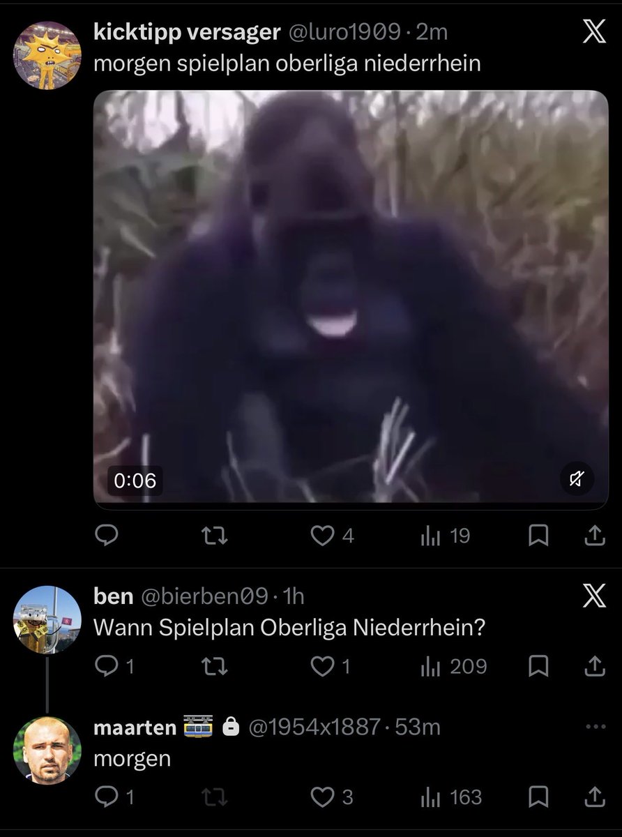 MaxidaxiSCF tweet media