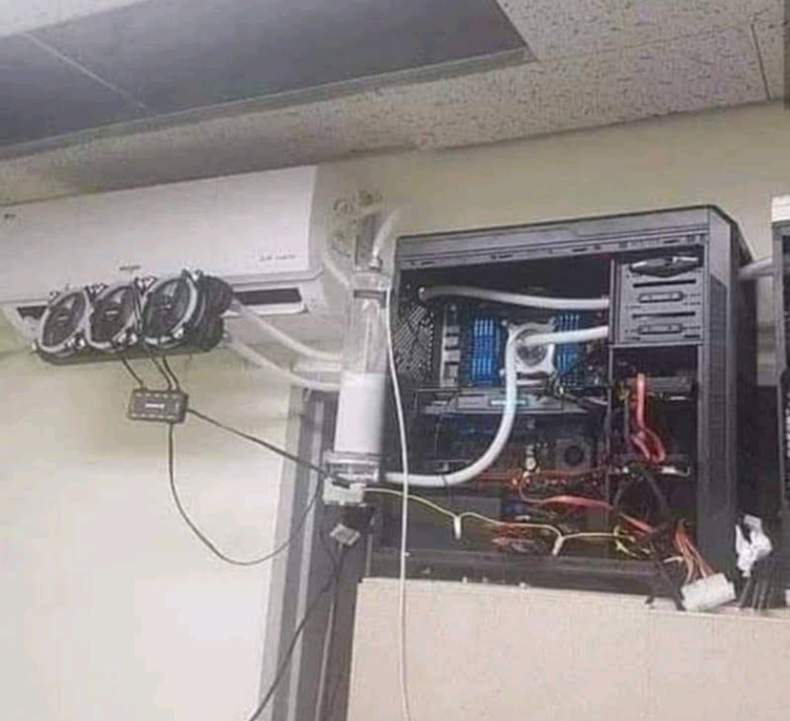 cowcotland's tweet photo. On pourra pas dire que c'est pas custom 😂 https://t.co/ejzX5E2Wop