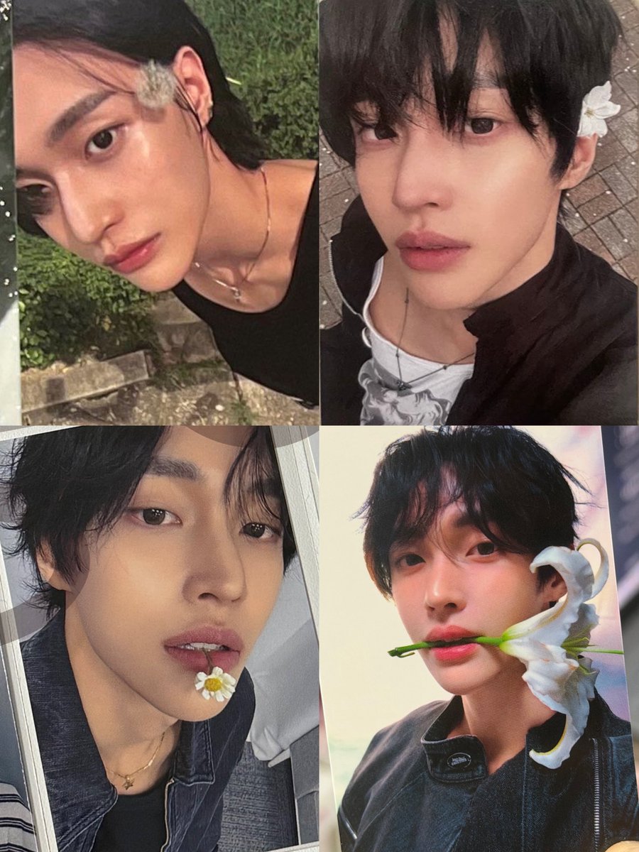 yeongwonhiz's tweet photo. wonbin flower photocards are always so pretty 🌸 https://t.co/HSWAOveOxe