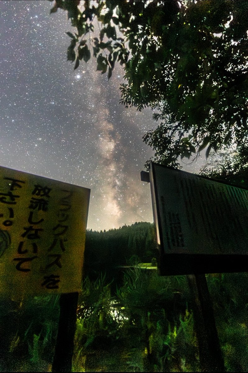 IamC_17's tweet photo. さっき、山形県民の森に星空撮影をしに行ってきたのですが・・・車を止めようとしたその時、黒い物体が横切りました。約1mくらいの黒い物体。
そう・・・熊ー！
この写真は昨年の同じ場所なんだけど、もう行けないよね。蛍と天の川のコラボが出来そうな感じなんだけどな😭💦 https://t.co/L9bicTM5hq