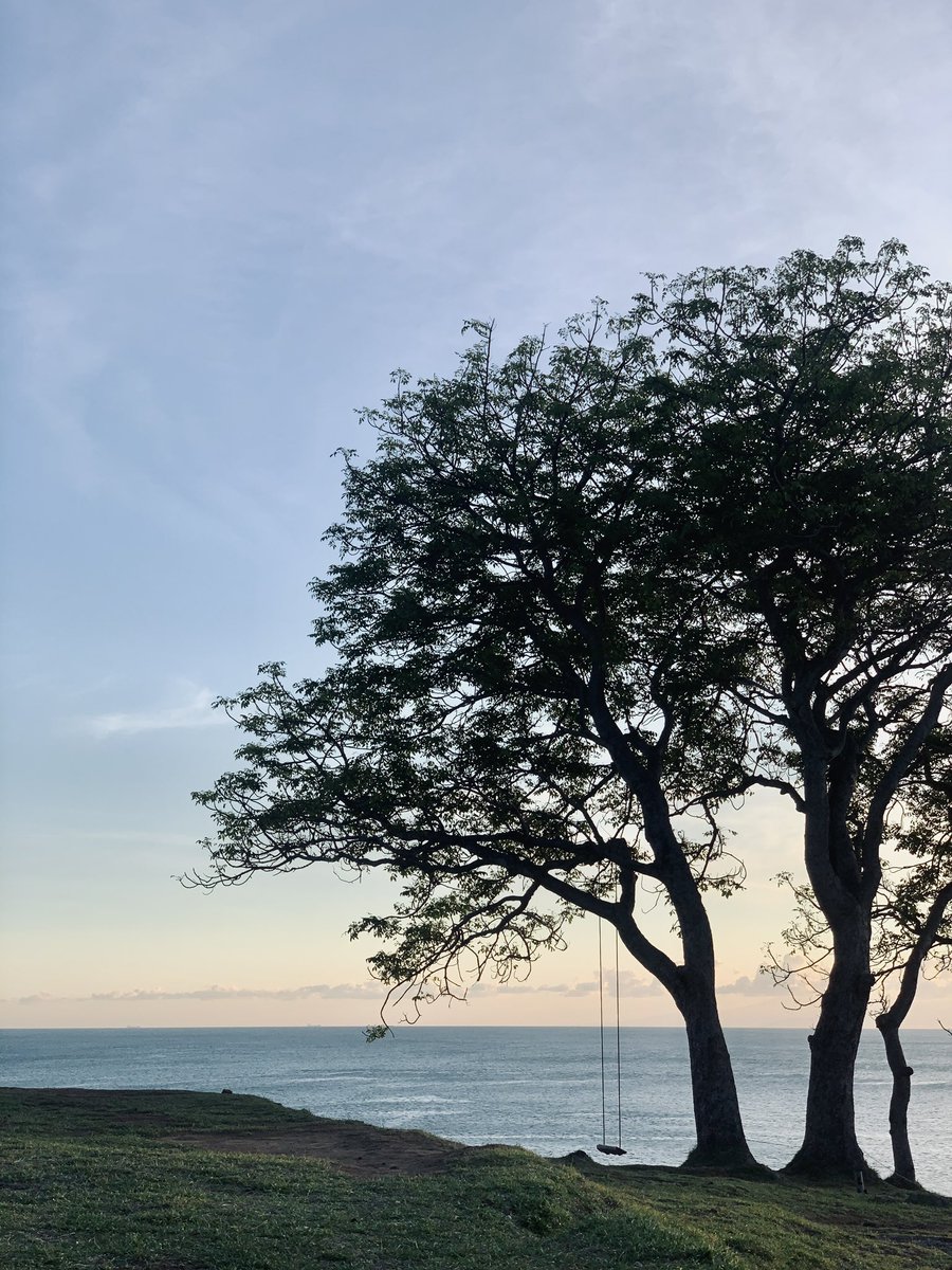 zendavil's tweet photo. warning: views may distract you https://t.co/6IaBvPGhuL