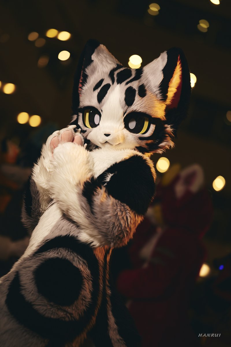 RanRan 藍藍|| 罗宋|| 青爪🔜 HF (@Randaeyote) / Posts / X