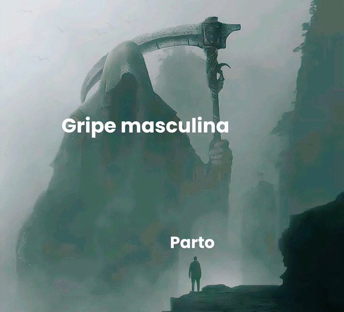 MemesEsquizo🌲 tweet media