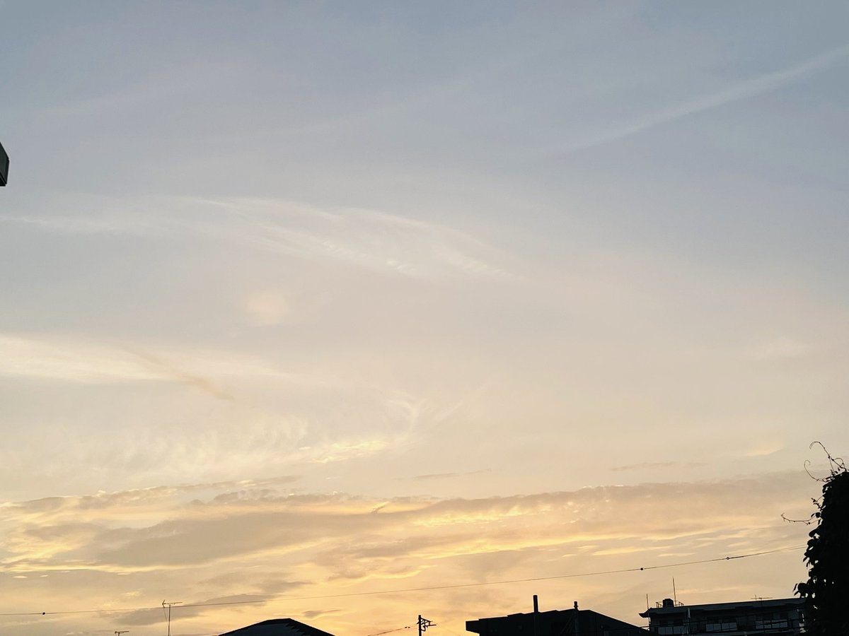 mofumon2's tweet photo. おつかレインボー🌈🤗全国的に猛暑日だった今日🔥🥵横浜ももれなく猛暑日でめちゃ暑かったー‼️🔥💦😵‍💫今日は公休日オフ〜🙌😃ようやくマイケル観れたー！！🎞️🤩いやーもう改めてマイケルの圧倒的な才能と凄さに脱帽‼️👏一度は生で見てみたかったなー✨🥹映画後はお決まりの安定のサイゼ🍽️😋happy💖🍀🥰 https://t.co/eqpom9jLAc