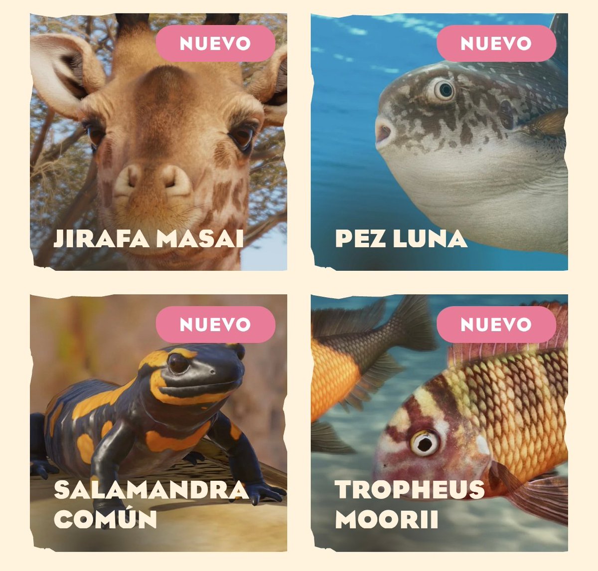 planeta_geo's tweet photo. Los nuevos animales son preciosos, como siempre

Cada vez te amo más Planet Zoo 😍🥹

#PlanetZoo2 https://t.co/6eh6GfSNYo