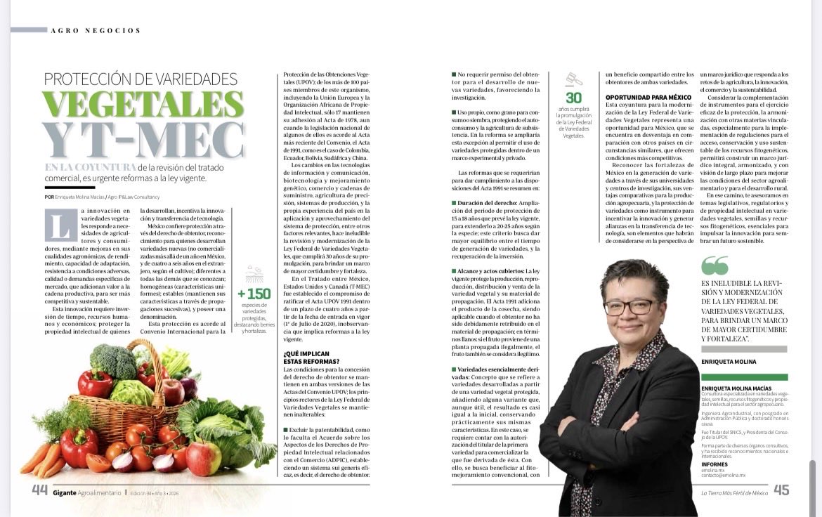 GiganteAgroa's tweet photo. En nuestra edición especial del #TMEC participa Enriqueta Molina, consultora especializada en variedades #vegetales, #semillas, recursos fitogenéticos y propiedad intelectual para el sector agroalimentario. 
Revista digital.
https://t.co/eYFH6uCYyn https://t.co/iMRkg32ktJ