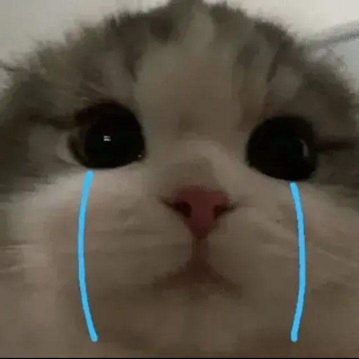 ofningxie's tweet photo. Hufttt tidak emyuddd https://t.co/yp9ti006gx