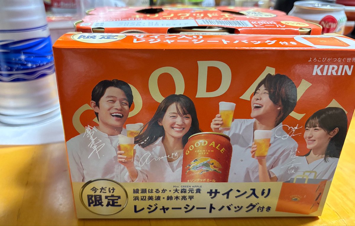 レジャーシートバック