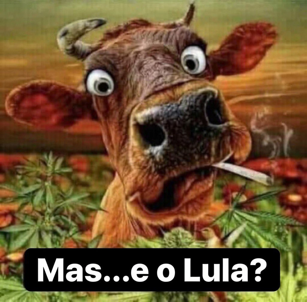 aquela menina lá tweet media